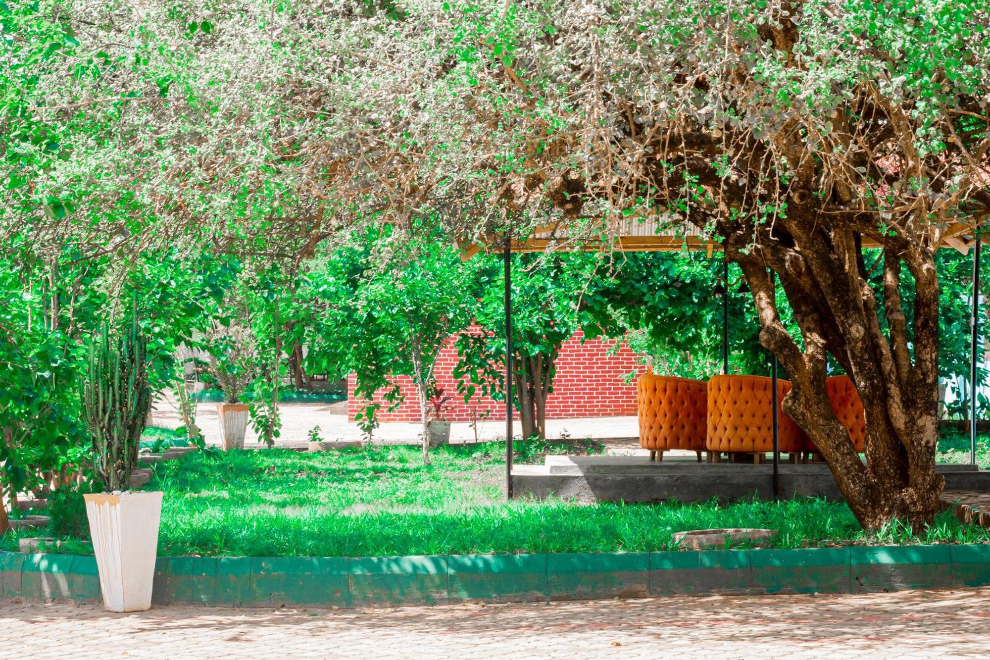 Mkomazi Hotels And Camps Hegoma Экстерьер фото